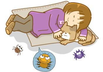 /uploads/image/2021/09/07/src=http___5b0988e595225.cdn.sohucs.com_images_20180307_334058f5f76745398fd47a55e4af4883.png&refer=http___5b0988e595225.cdn.sohucs.jpg src=http___5b0988e595225.cdn.sohucs.com_images_20180307_334058f5f76745398fd47a55e4af4883.png&refer=http___5b0988e595225.cdn.sohucs.jpg